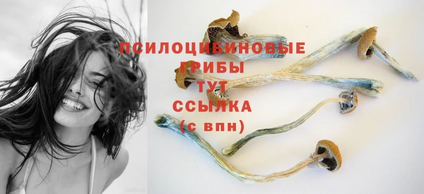 мдпв Волосово