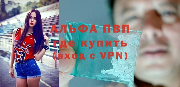 дживик Володарск