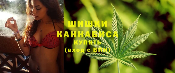 мдпв Волосово